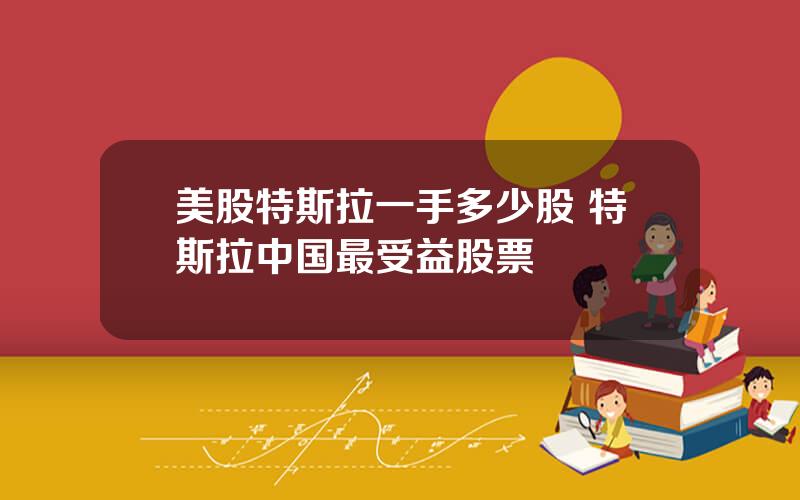 美股特斯拉一手多少股 特斯拉中国最受益股票